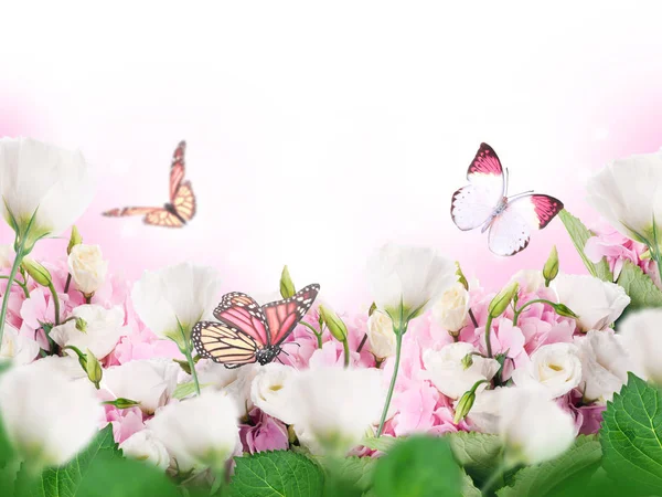 Composición Floral Eustomas Blancos Rosados Mariposas Voladoras Sobre Fondo Degradado —  Fotos de Stock