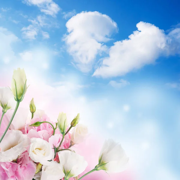 Kwiatowy Bukiet Eustoma Biały Różowy Tle Błękitnego Nieba — Zdjęcie stockowe