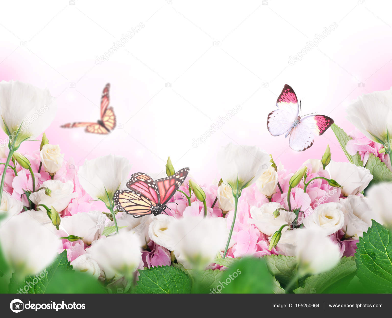 Mariposas con flores fotos de stock, imágenes de Mariposas con flores sin royalties | Depositphotos Mariposas con flores fotos de stock, imágenes de Mariposas con flores sin royalties | Depositphotos