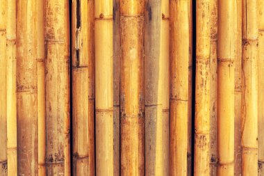 eski bambu çit arka plan