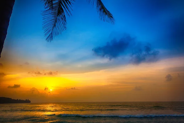 Zonsondergang op het strand met palmbladeren — Stockfoto