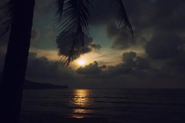 Puesta de sol en la playa con hojas de palmera — Foto de Stock