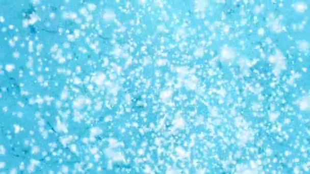 Padající sníh smyčka — Stock video