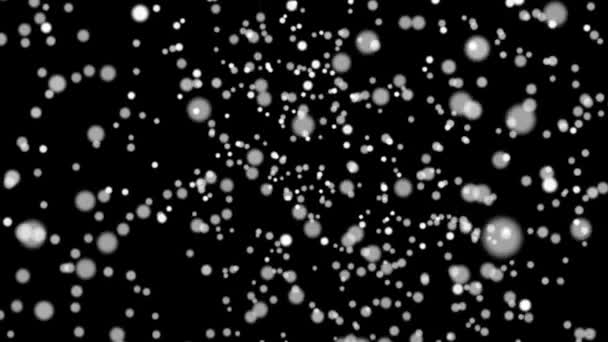 Падіння снігу петля — стокове відео