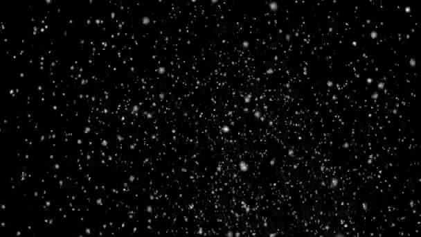 Boucle de neige tombante 