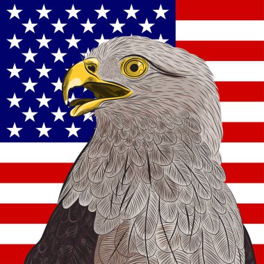 Kel kartal karşı Amerika Amerika Birleşik Devletleri bayrağı