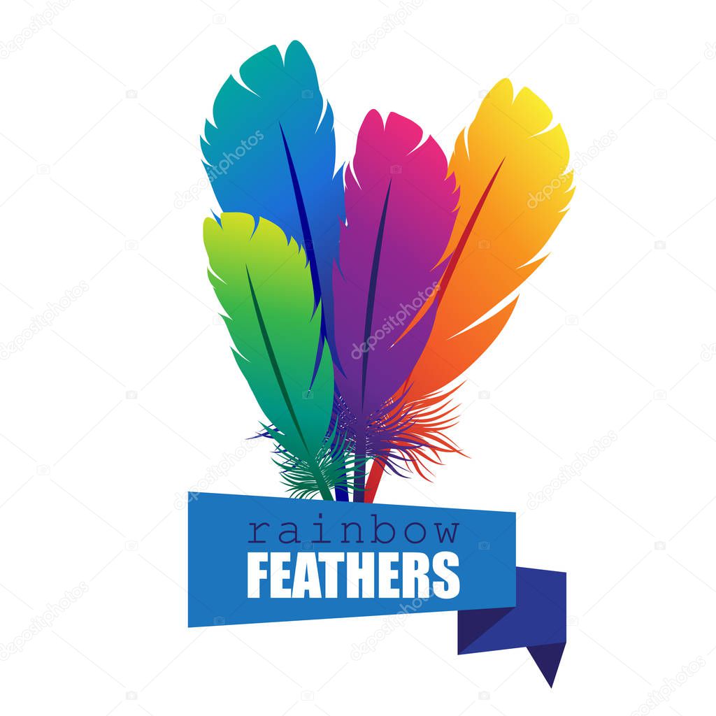 vector illustration of four colorful feathers with origami banne