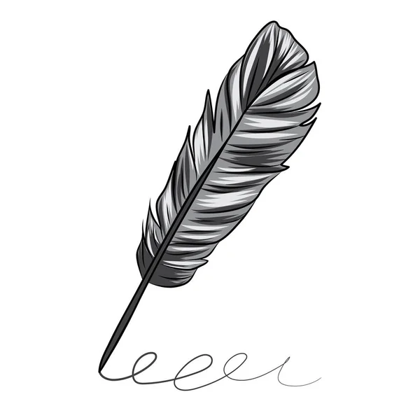 Vector illustration of a grey feather isolated on white — Stock Vector