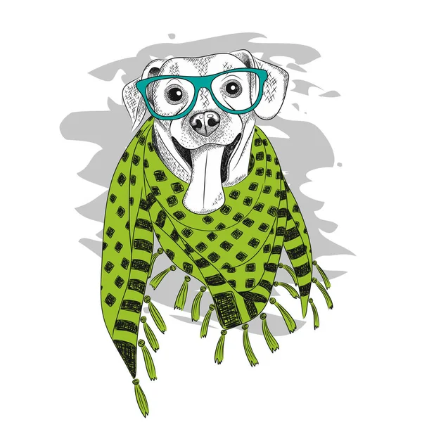 Pies na sobie okulary i szalik — Wektor stockowy
