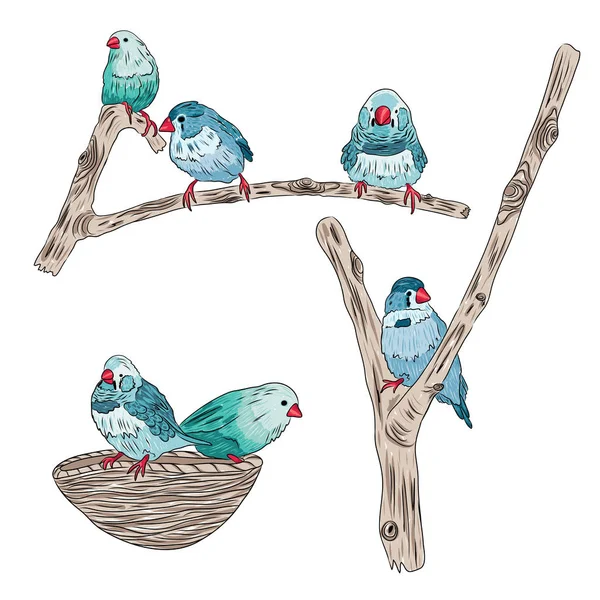 Милий птах сидить на гілках дерев — стоковий вектор