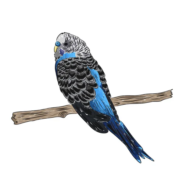 Реалістичний папуга, що сидить на гілці дерева — стоковий вектор