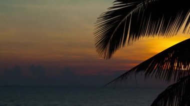 tropik sahil üzerinden günbatımı