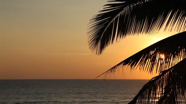 Sunset over the tropical beach — Stock Video