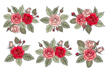 Güzel gül yaprakları ile