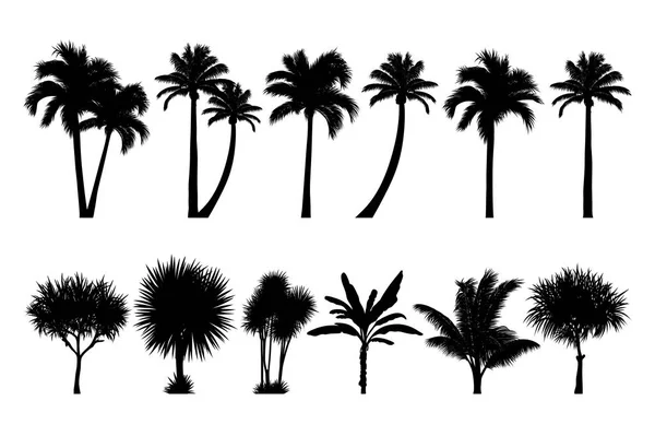 Conjunto de palmeras y árboles tropicales — Vector de stock