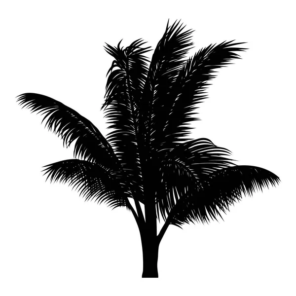 Silueta de árbol tropical — Vector de stock