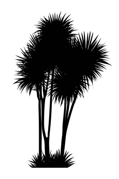 Tropický strom siluety — Stockový vektor