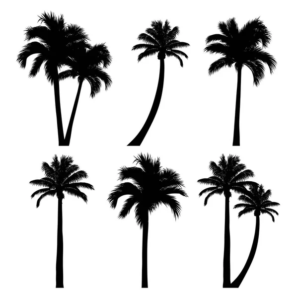 Conjunto de palmeras y árboles tropicales — Vector de stock
