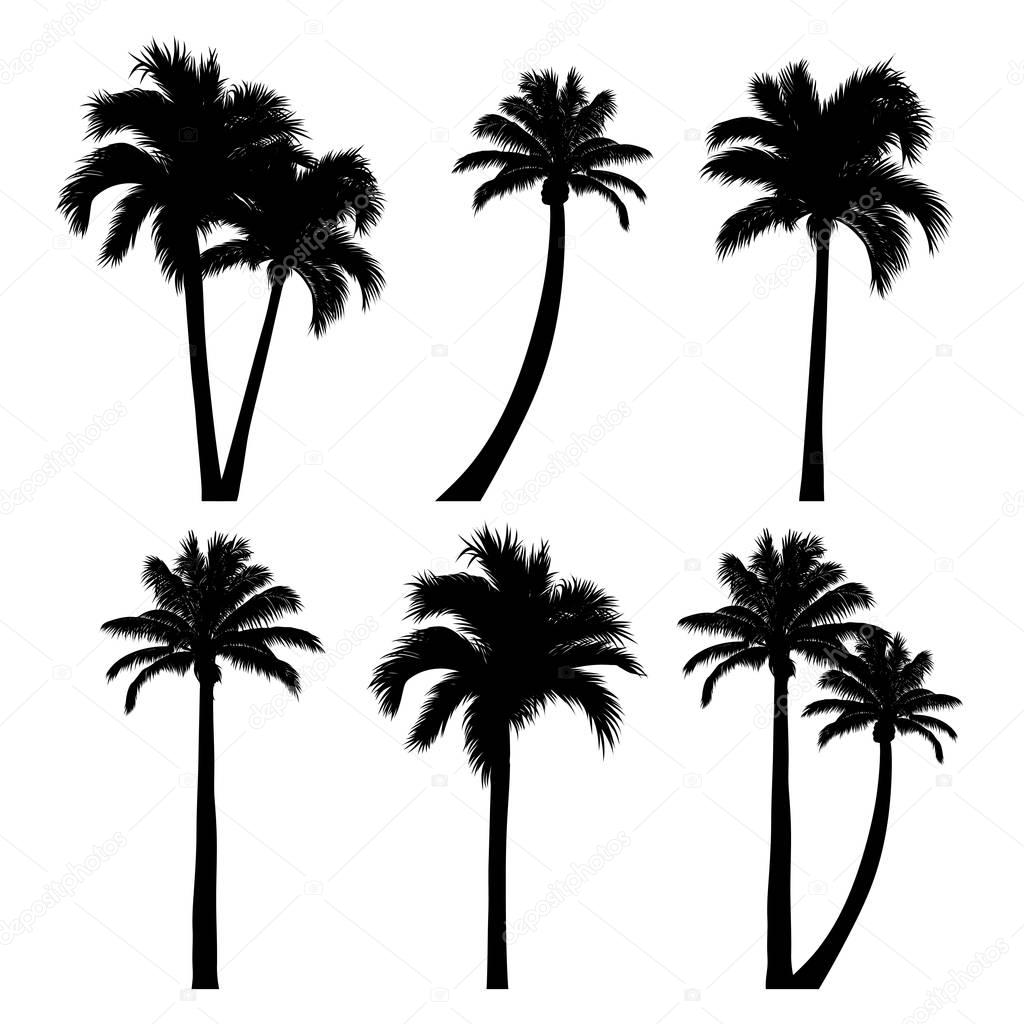 set of tropical palms and trees