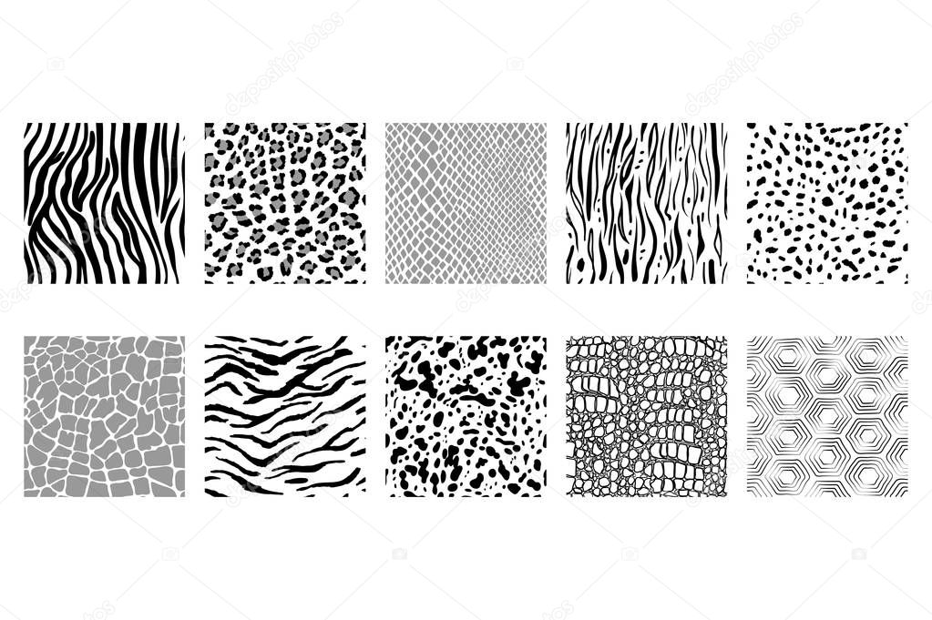 black and white animal patterns