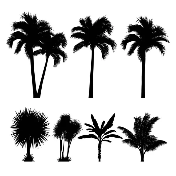 Silhouettes de palmiers tropicaux — Image vectorielle