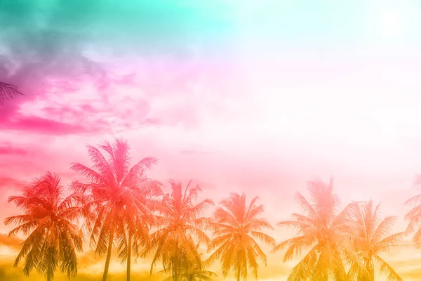 Пальмы на красивых облаках — стоковое фото