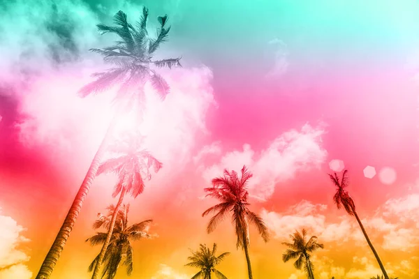Palmy na piękne chmury — Zdjęcie stockowe