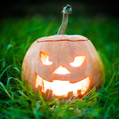 Halloween jack-o-lantern çimenlerin üzerinde