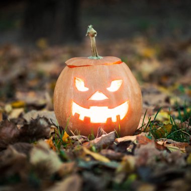 Halloween jack-o-lantern yapraklarda