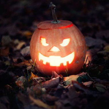 Halloween jack-o-lantern yapraklarda