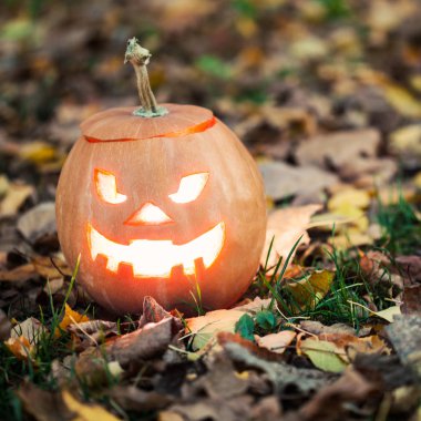 Halloween jack-o-lantern yapraklarda