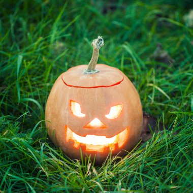 Halloween jack-o-lantern çimenlerin üzerinde