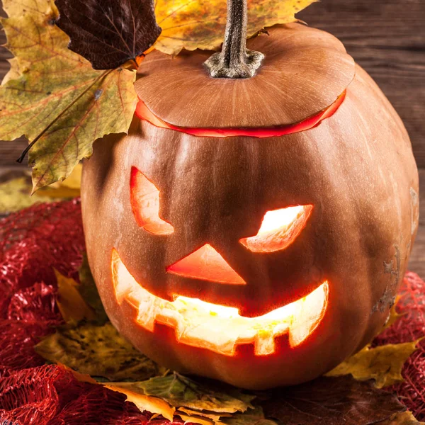 Jack-o-lantern arka plan üzerinde yaprakları ile