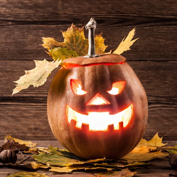 Jack-o-lantern arka plan üzerinde yaprakları ile