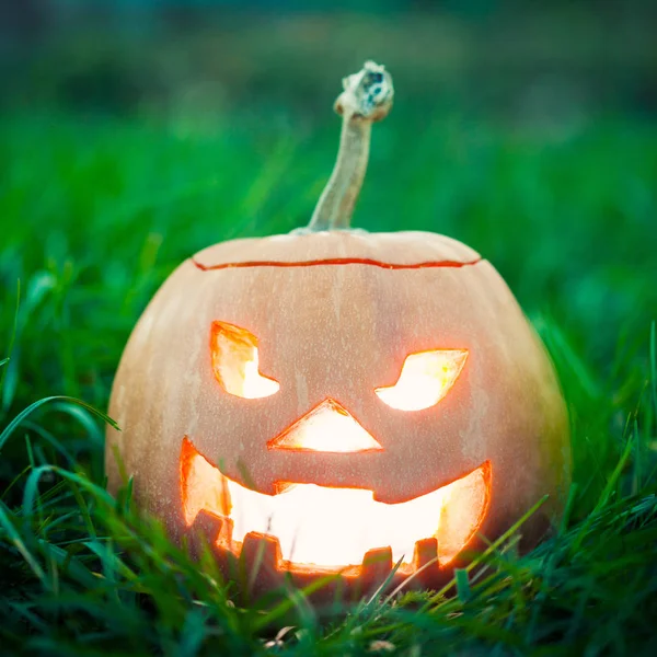 Halloween jack-o-lantern on grass — стоковое фото