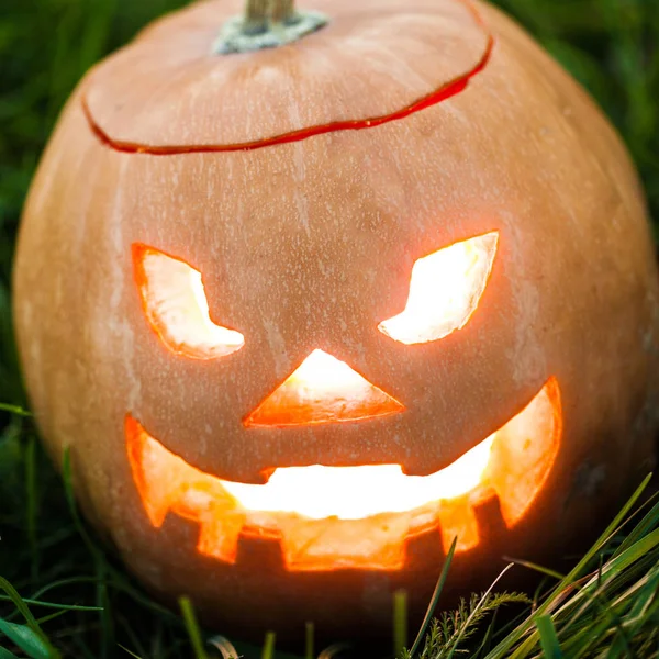 Halloween jack-o-lantern på gräs — Stockfoto