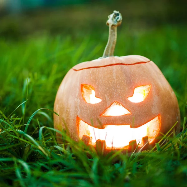 Halloween jack-o-lantern på gräs — Stockfoto