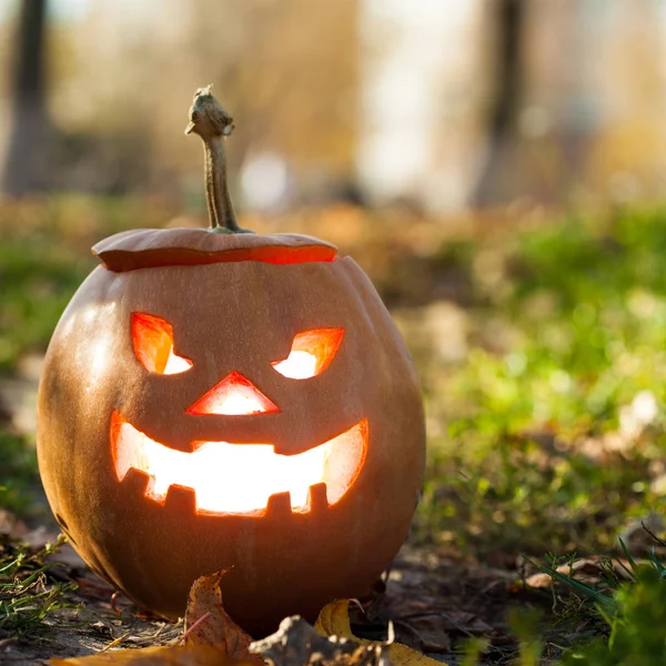 Halloween jack-o-lantern ayakta 