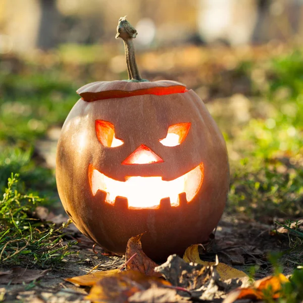 Halloween jack-o-lantern ayakta — Stok fotoğraf