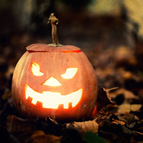 Halloween jack-o-lantern på bladen — Stockfoto