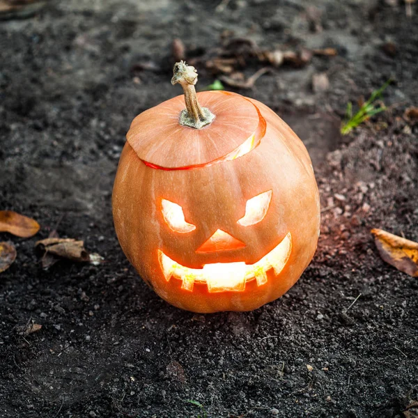 Halloween jack-o-lantern ayakta 
