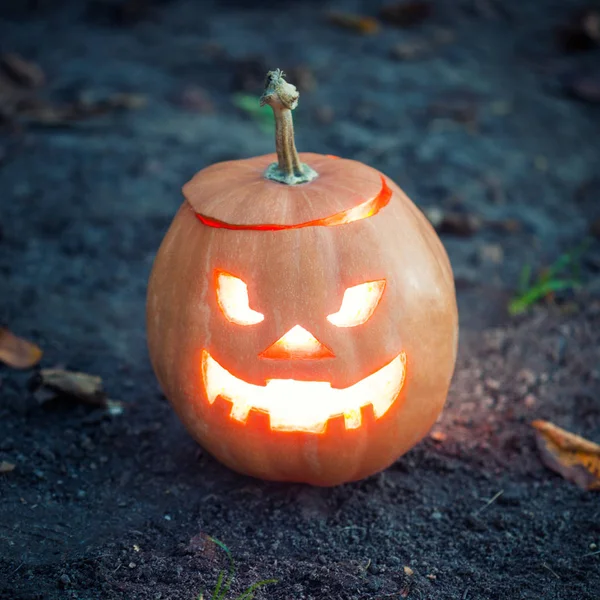 Halloween jack-o-lantern ayakta 