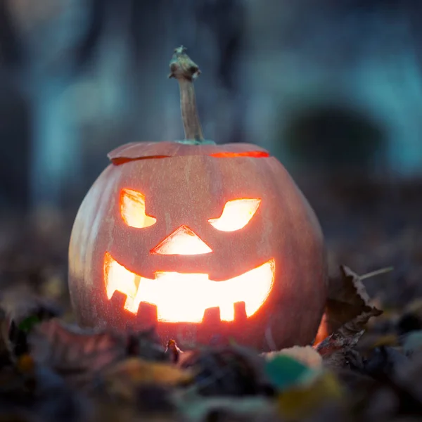 Halloween jack-o-lantern på bladen — Stockfoto