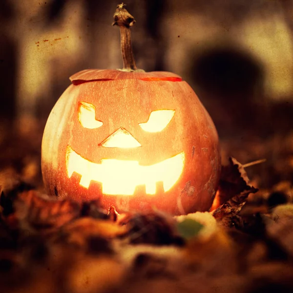 Halloween jack-o-lantern yapraklarda — Stok fotoğraf