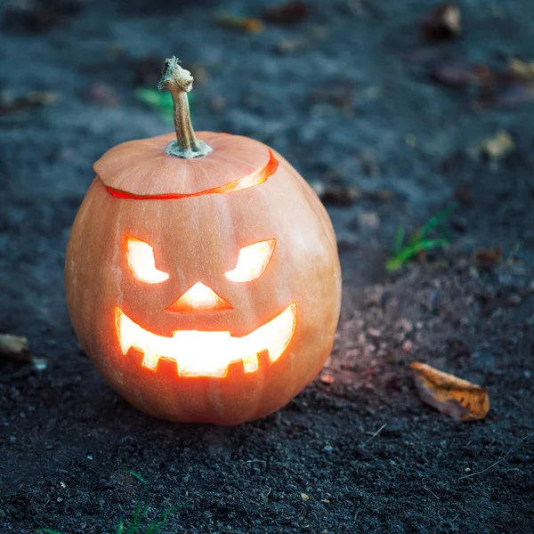 Halloween jack-o-lanterna in piedi — Foto Stock