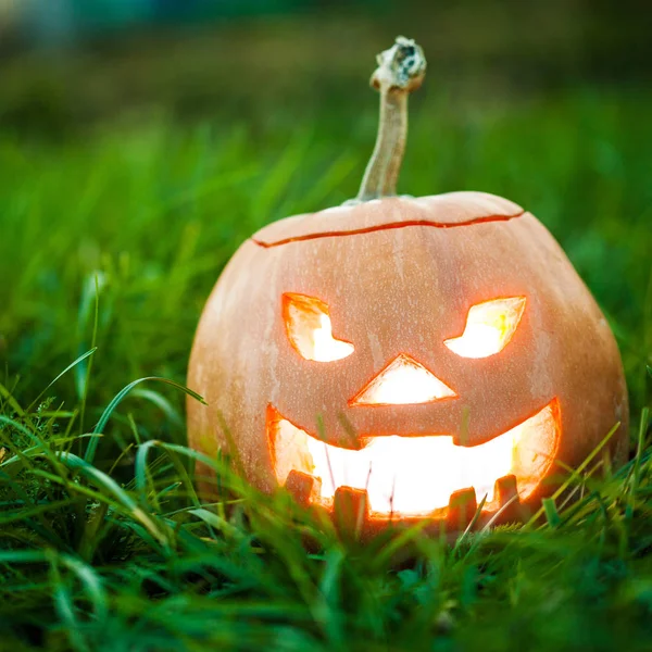 Halloween jack-o lucernou na trávě — Stock fotografie