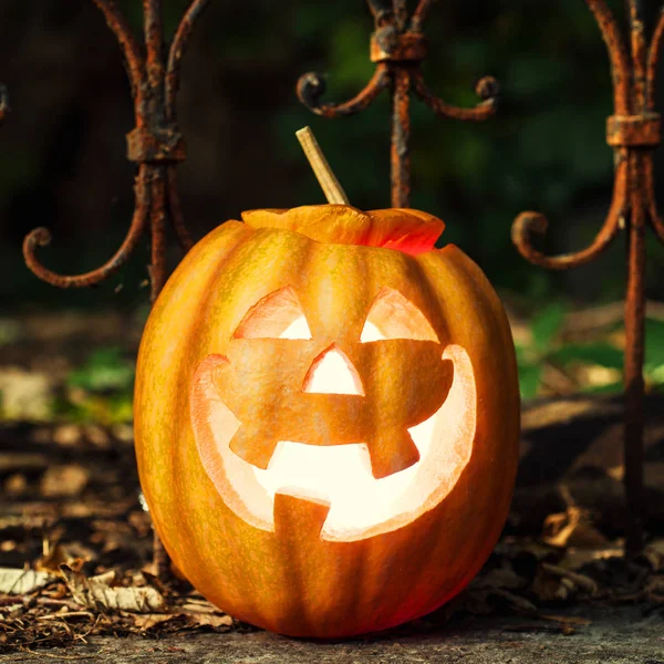 Halloween jack-o-lanterna sulle foglie — Foto Stock