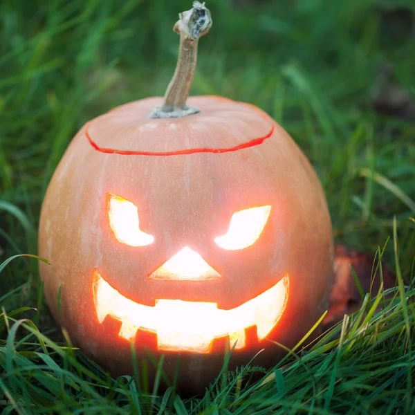 halloween jack-o-lantern on  grass