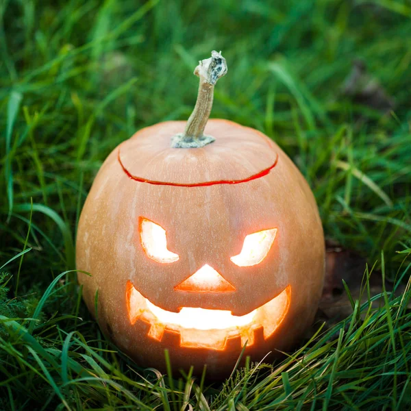 Halloween jack-o lucernou na trávě — Stock fotografie