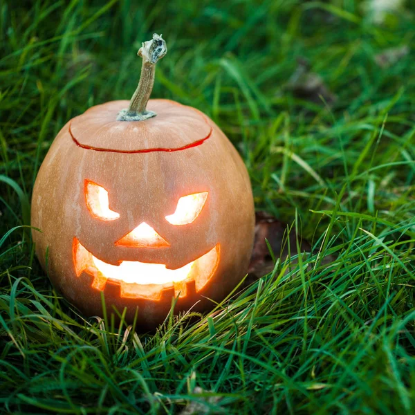 Halloween jack-o-lanterna sull'erba — Foto Stock